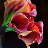 Vermont wedding photography