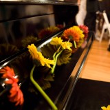 Vermont wedding photography