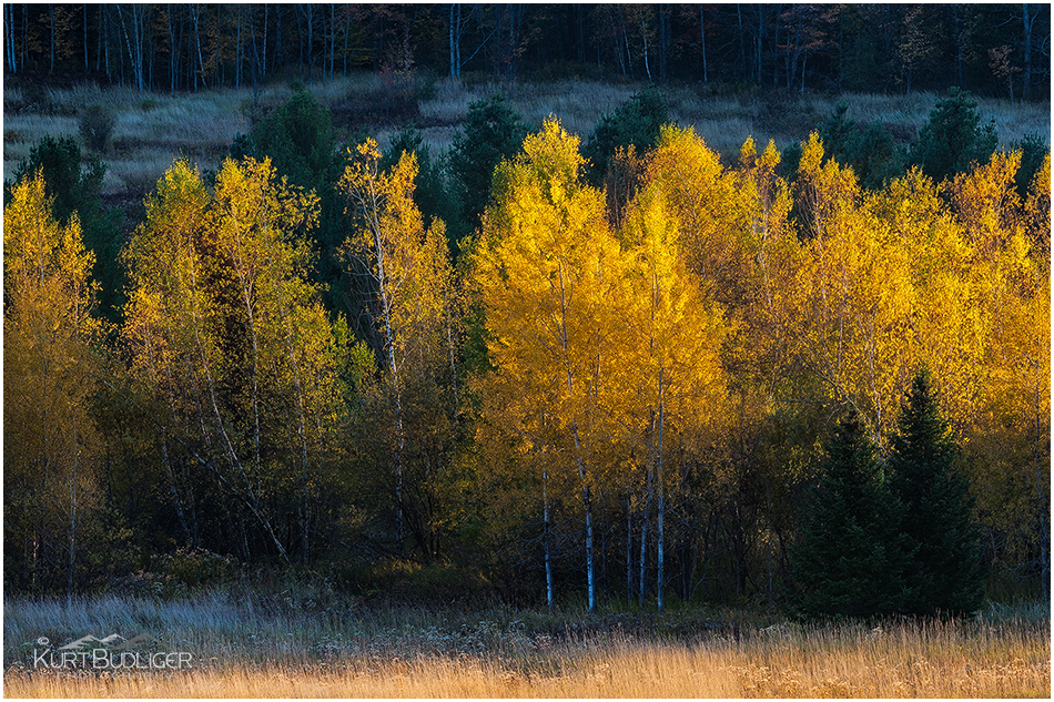 Kurt Budliger Photography | Vermont Photographer specializing in landscape and nature photography, active lifestyle, fly fishing, wedding photography, fine art prints and digital photography workshops