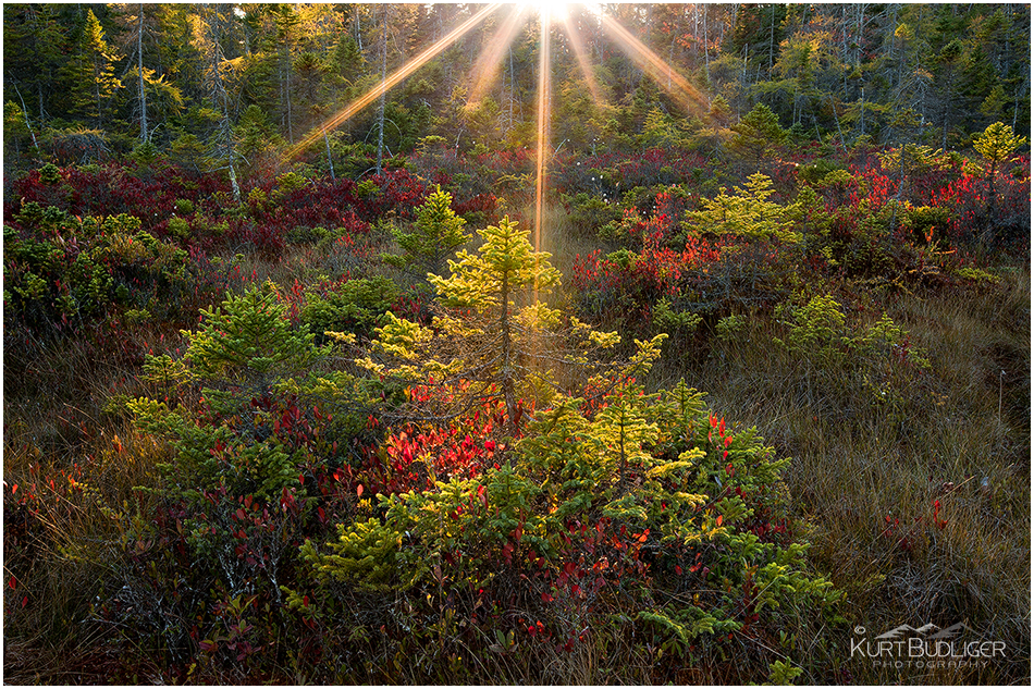 Kurt Budliger Photography | Vermont Photographer specializing in landscape and nature photography, active lifestyle, fly fishing, wedding photography, fine art prints and digital photography workshops