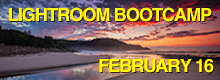 Featured Workshops