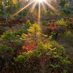 © Kurt Budliger Photography