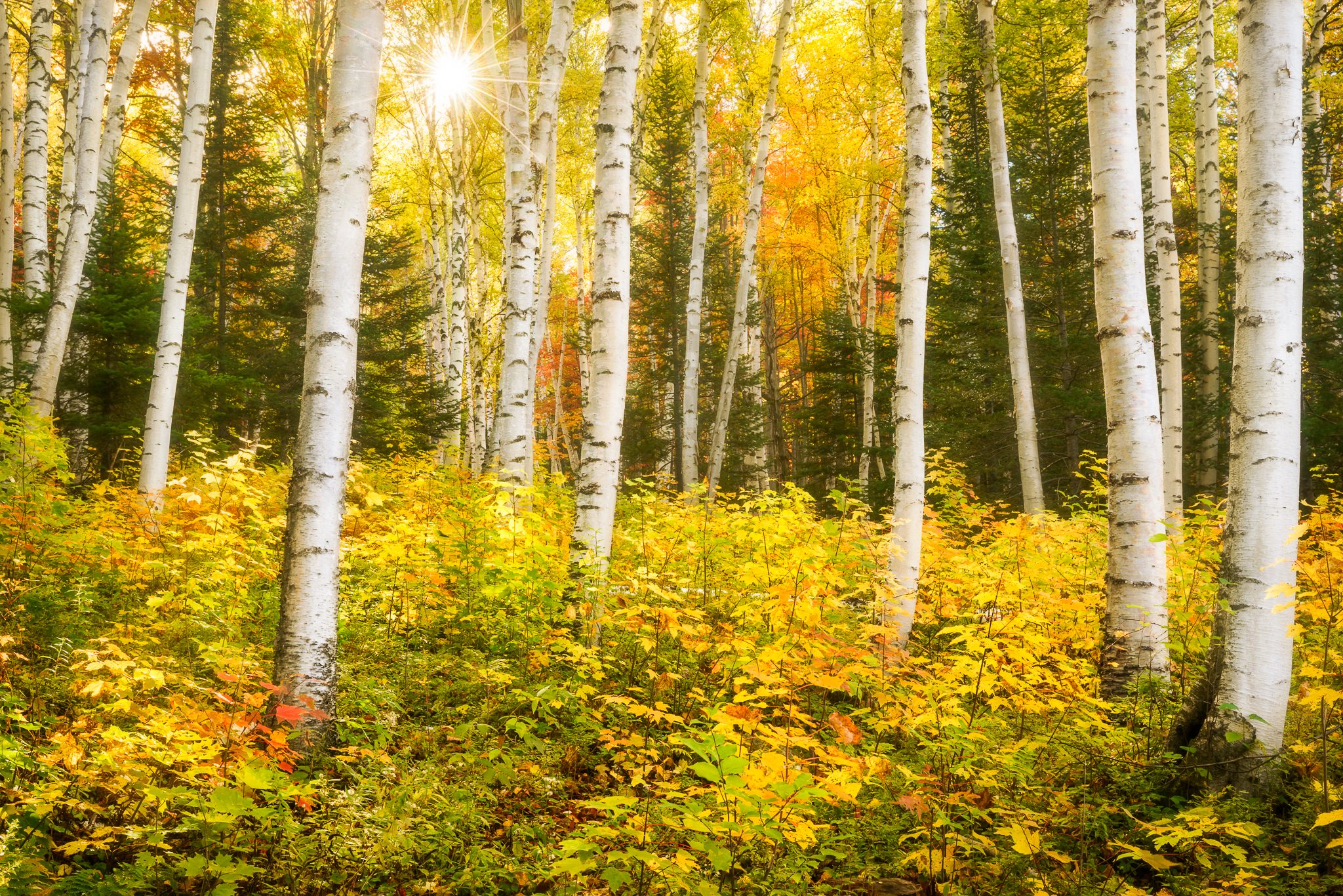 Autumn in Vermont photo workshop