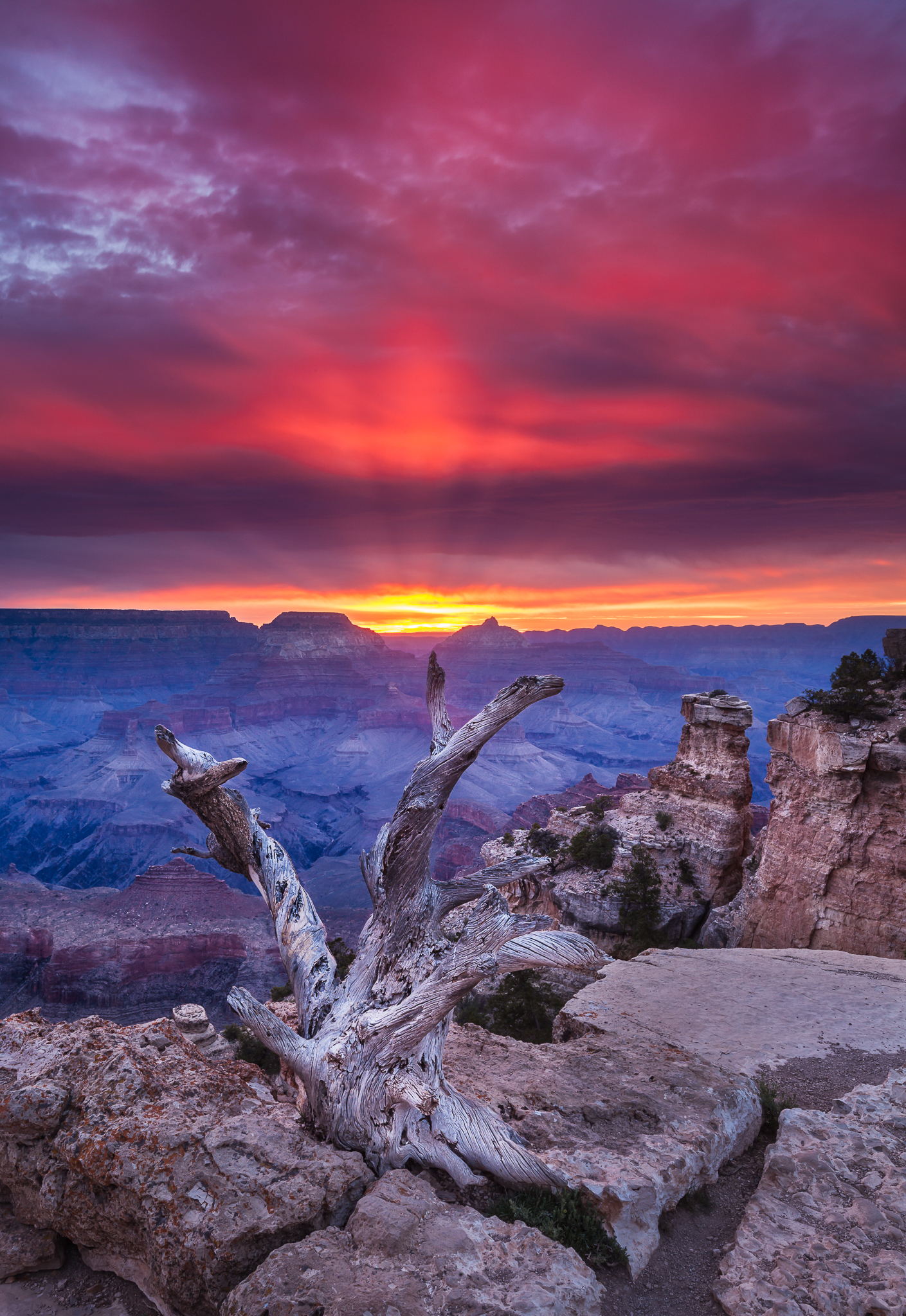 Getting Lucky at the Grand Canyon