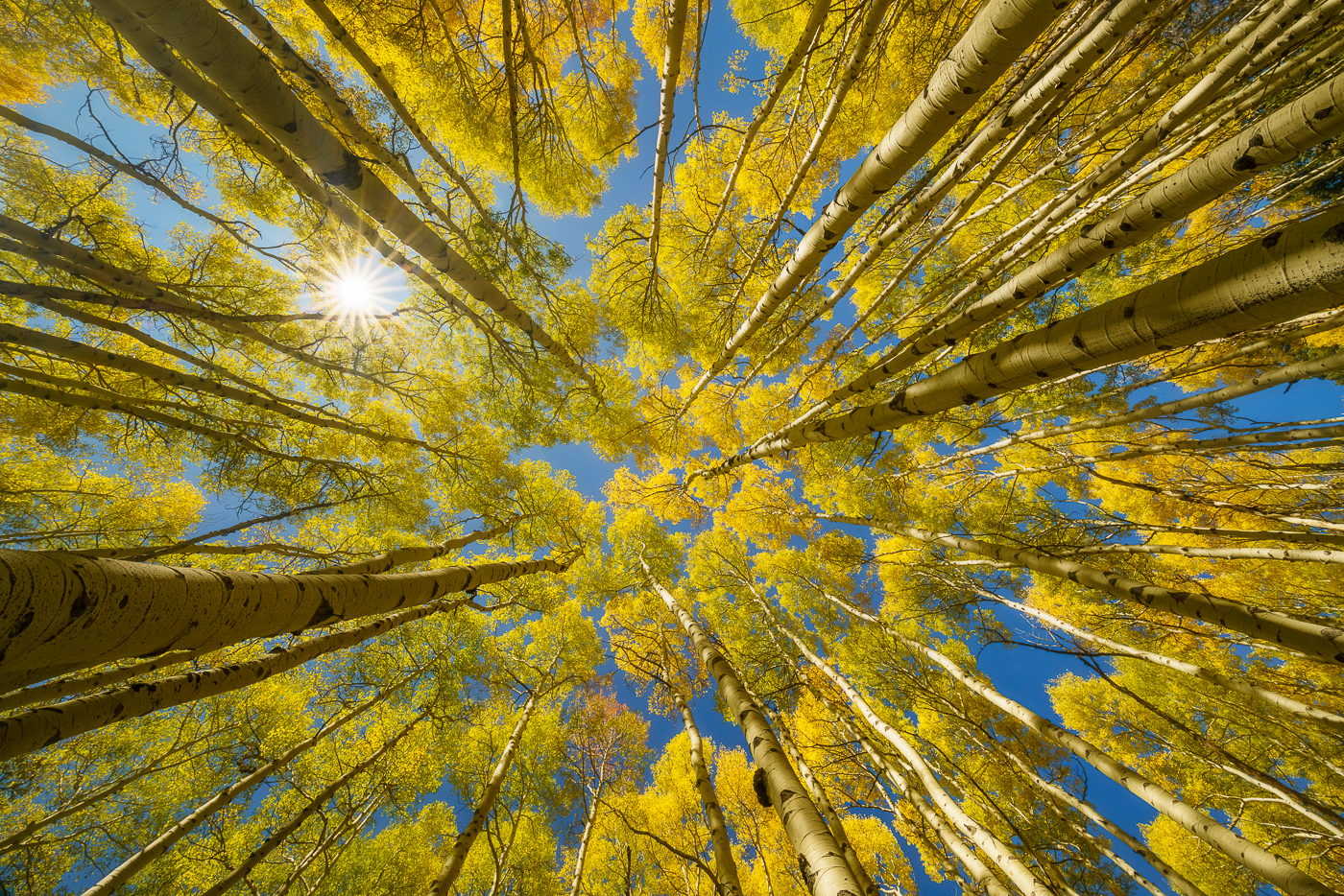 10 Creative Techniques for Making Your Best Autumn Images