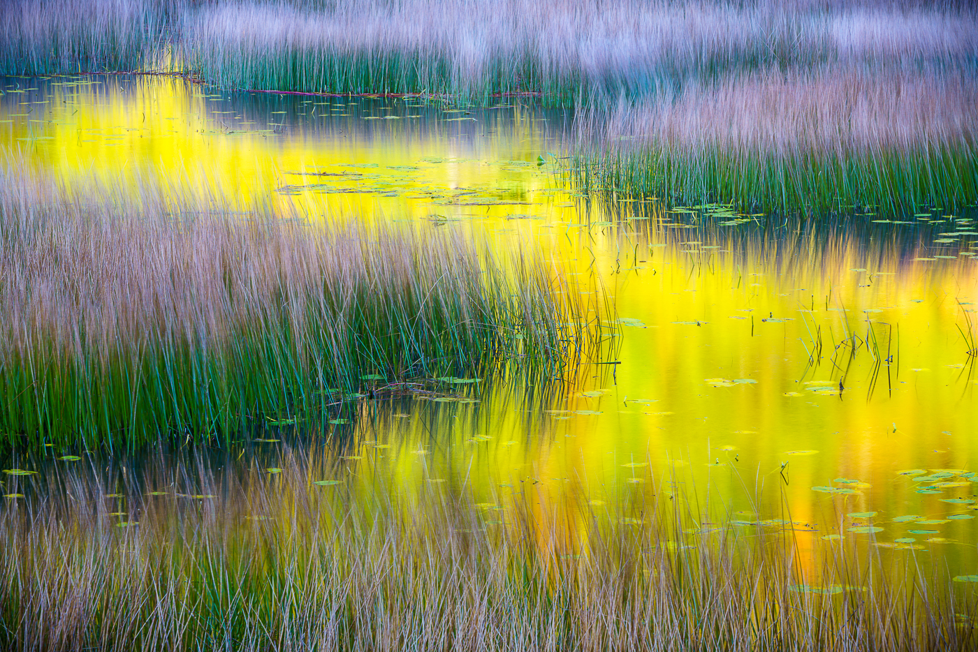 Colorful reflections and autumn foliage, Acadia National Park, Maine