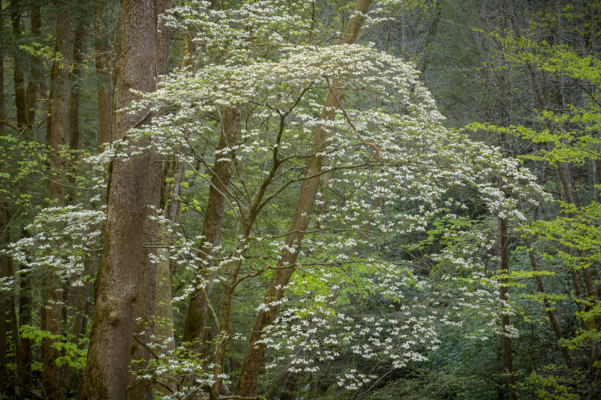 Best of Utah Photography Workshop